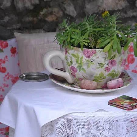 Casa de hóspedes Bujtina Kodiket