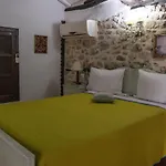 Bujtina Kodiket