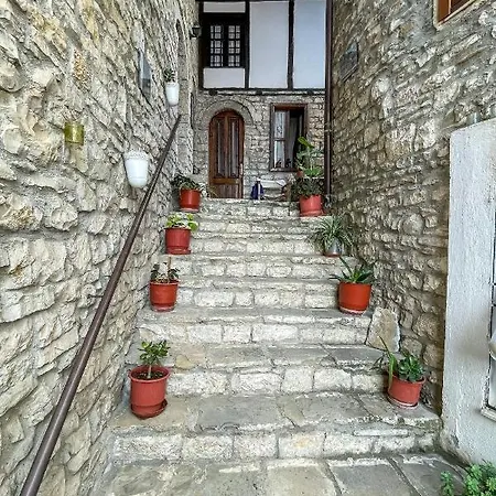 Bujtina Kodiket 4* Berat