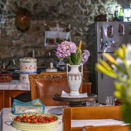 Bujtina Kodiket Guest house
