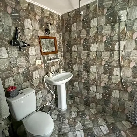Bujtina Kodiket *