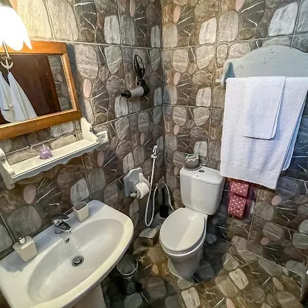 Guest house Bujtina Kodiket